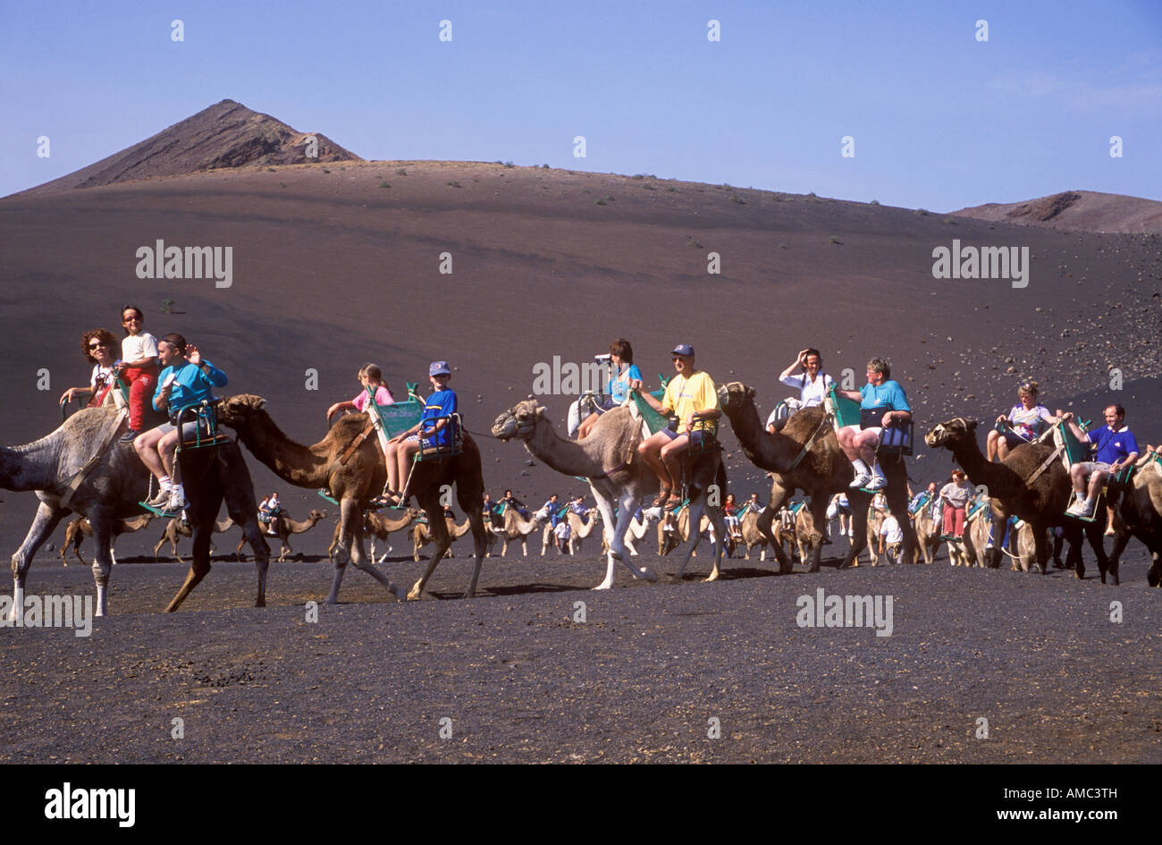 Tourists On Camel Ride Up Fire Mountain In Timanfaya National Park Stock Photo Alamy