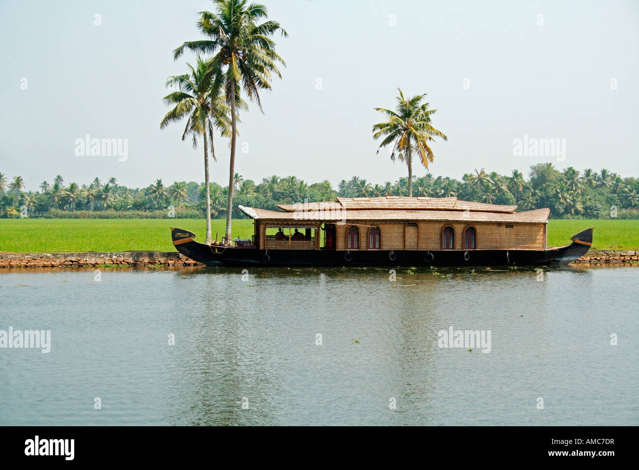 Houseboat in the backwaters near Alappuzha or Alleppey against lush verdant backdrop of rice paddy fields cocnut palms in Kerala Stock Photo