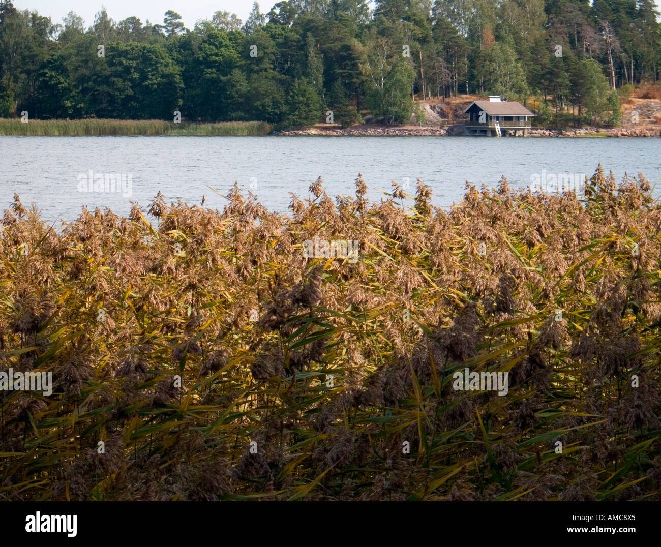 Finland Lakeside House Stock Photo Alamy