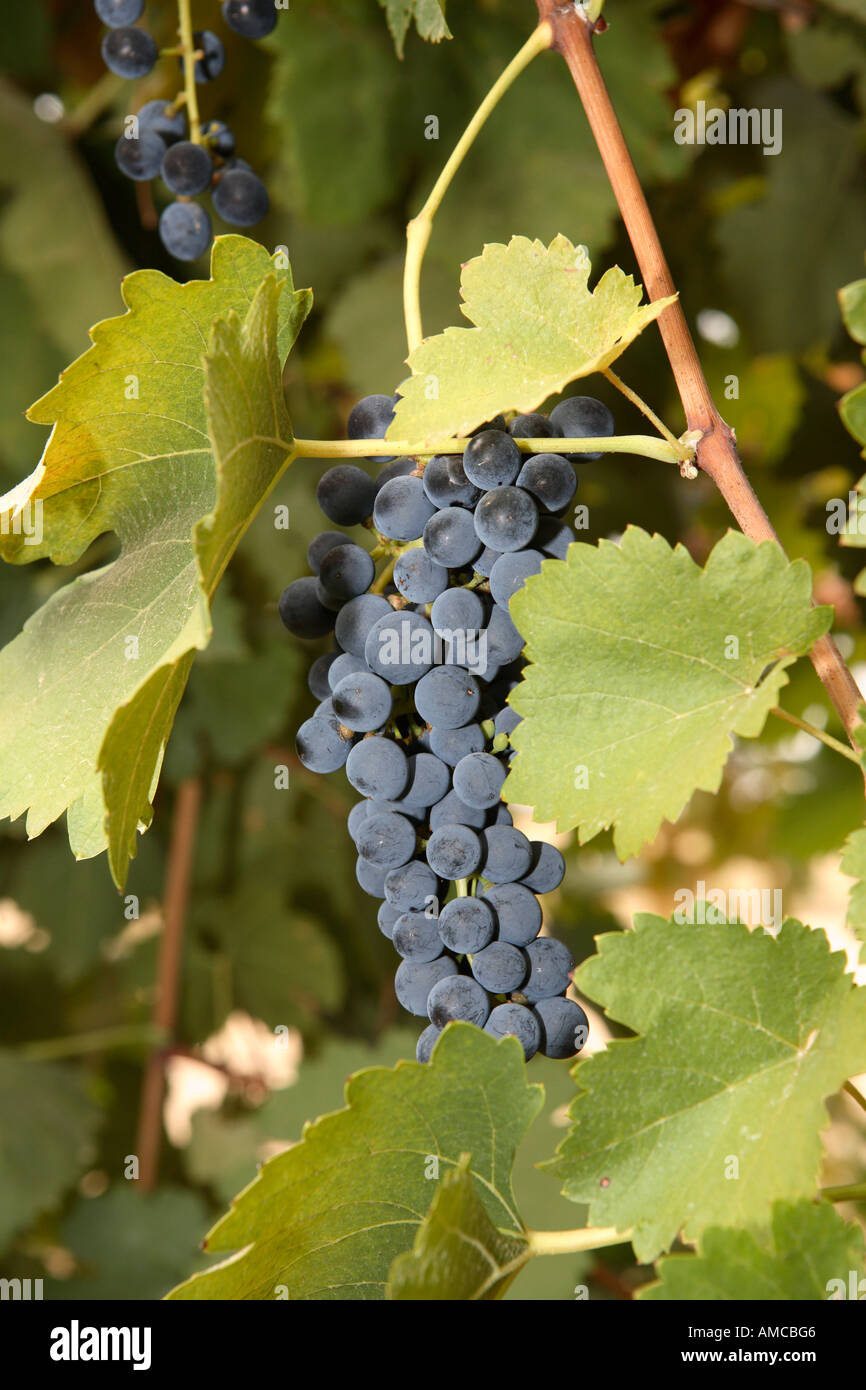 Detailtravel hires stock photography and images Alamy