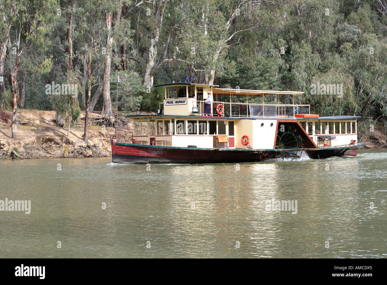 Paddlesteamers Pride of the Murray, cruising the Murray river near
