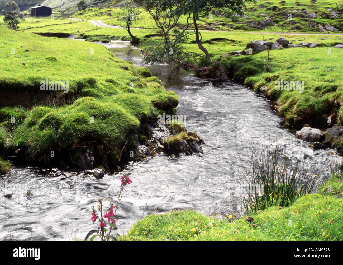 Afon dwyfor hires stock photography and images Alamy