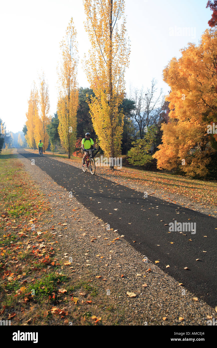 bright cycle path