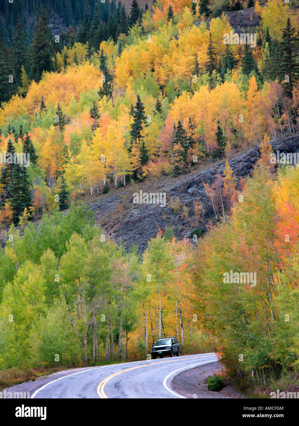 Fall Foliage, Colorado Stock Photo Alamy