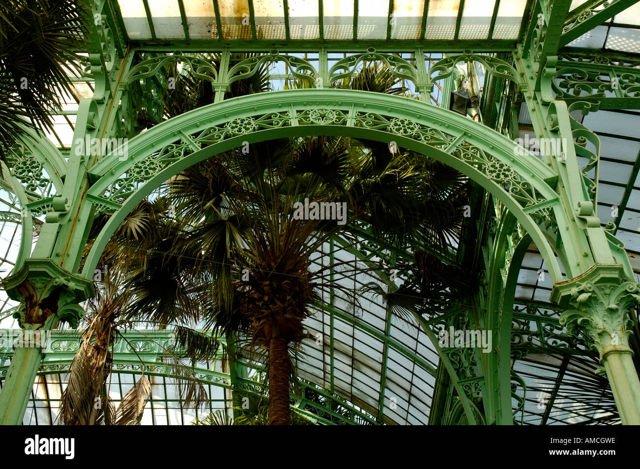 The Winter Garden Stock Photo Alamy
