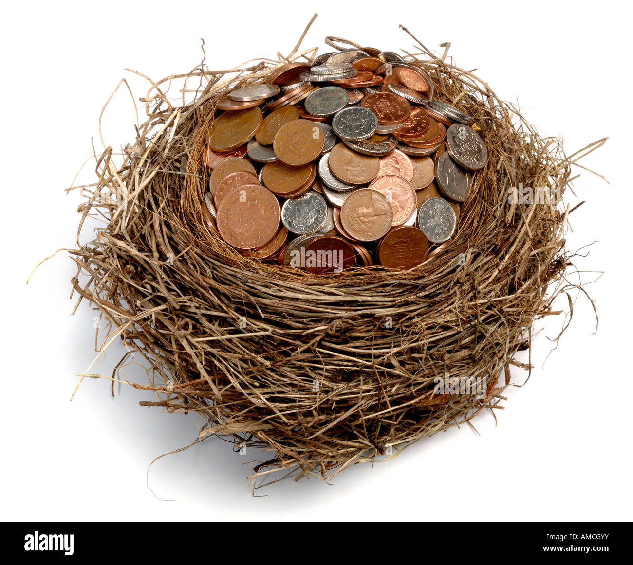 Bird nest full of money Stock Photo