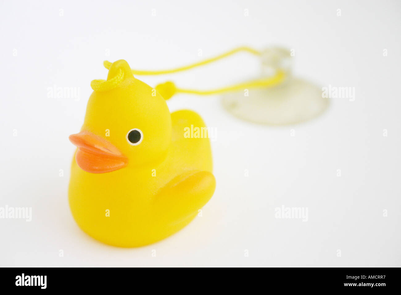 Rubber duck close up Stock Photo