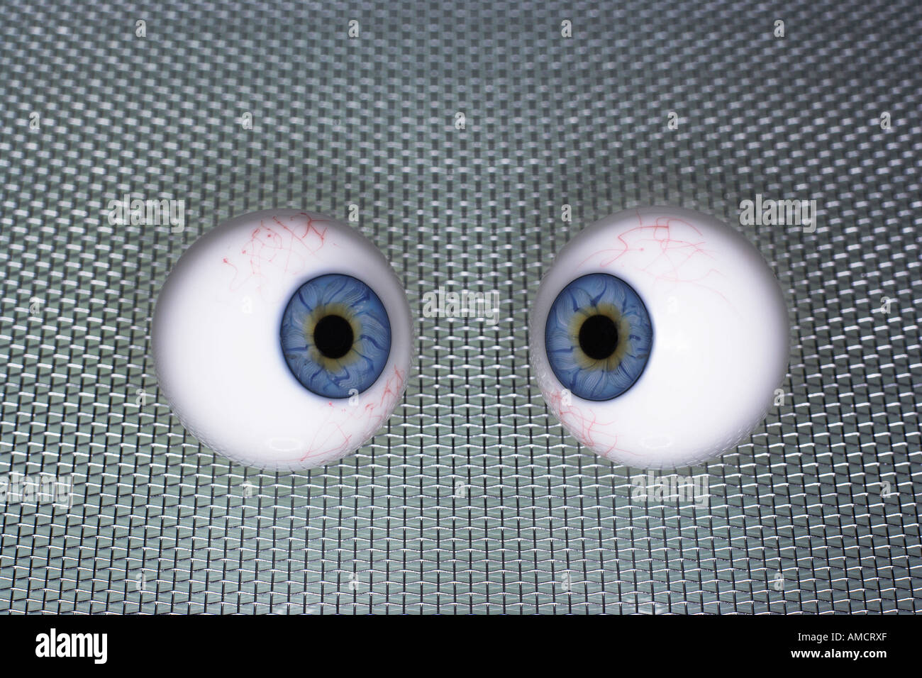 Eyeballs Stock Photo