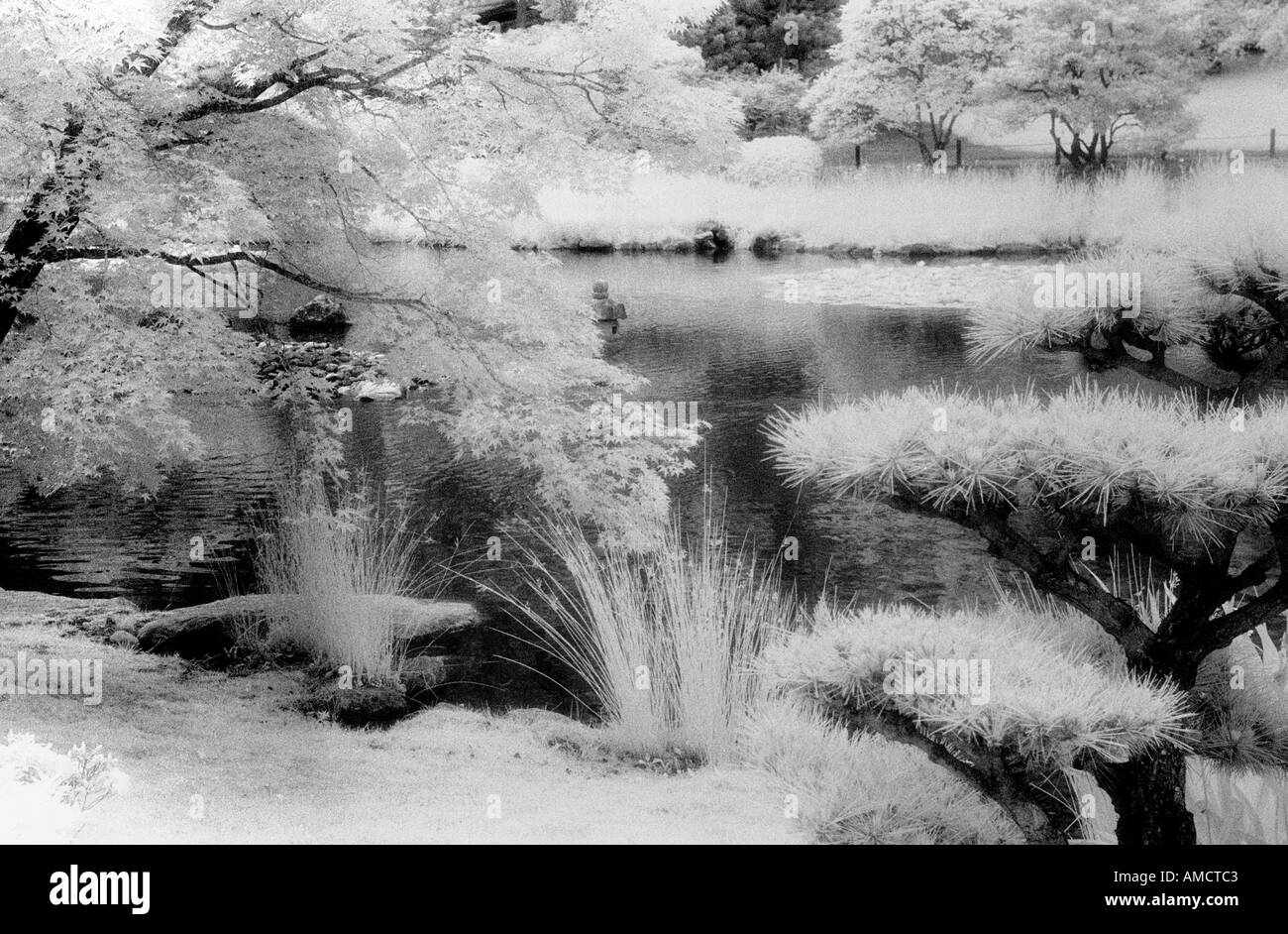 Garden pond in Black and White Stock Photos & Images - Alamy