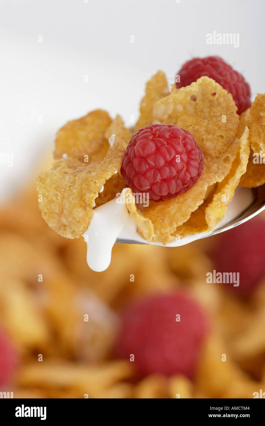 Spoon of cornflakes and raspberries close up Stock Photo
