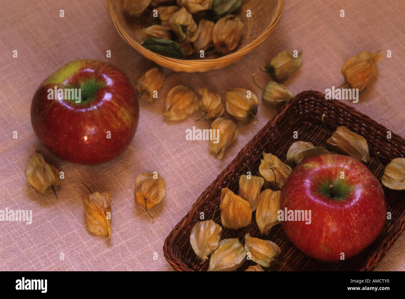 apples and alkekengi - mele e alchechengi Stock Photo