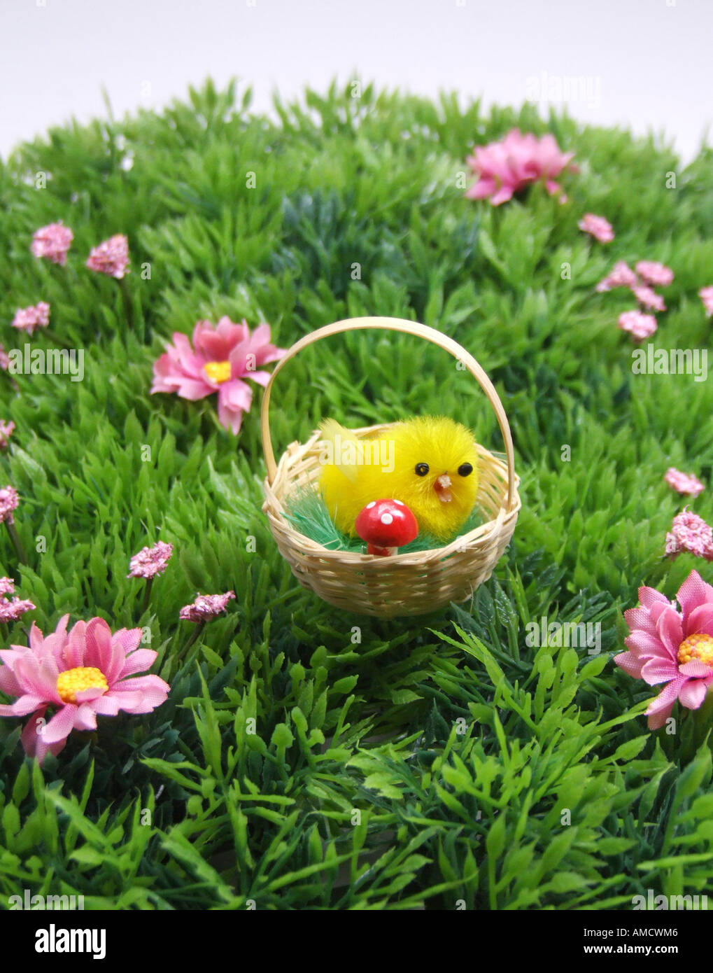 Chicken in basket elevated view Stock Photo Alamy