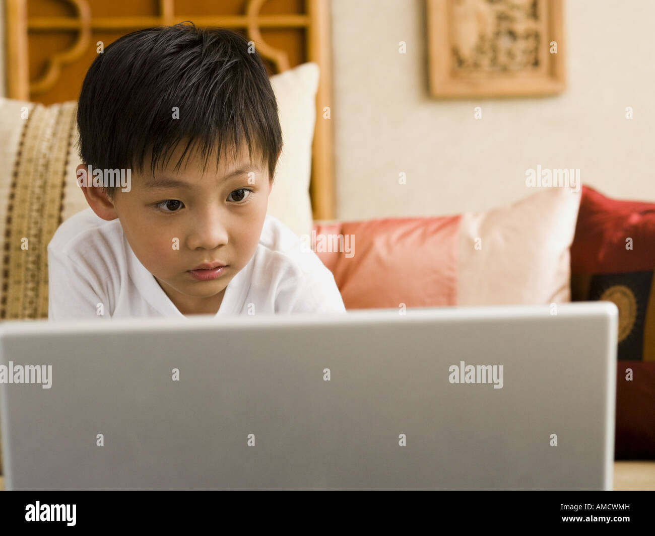 Boy sitting on sofa with laptop Stock Photo