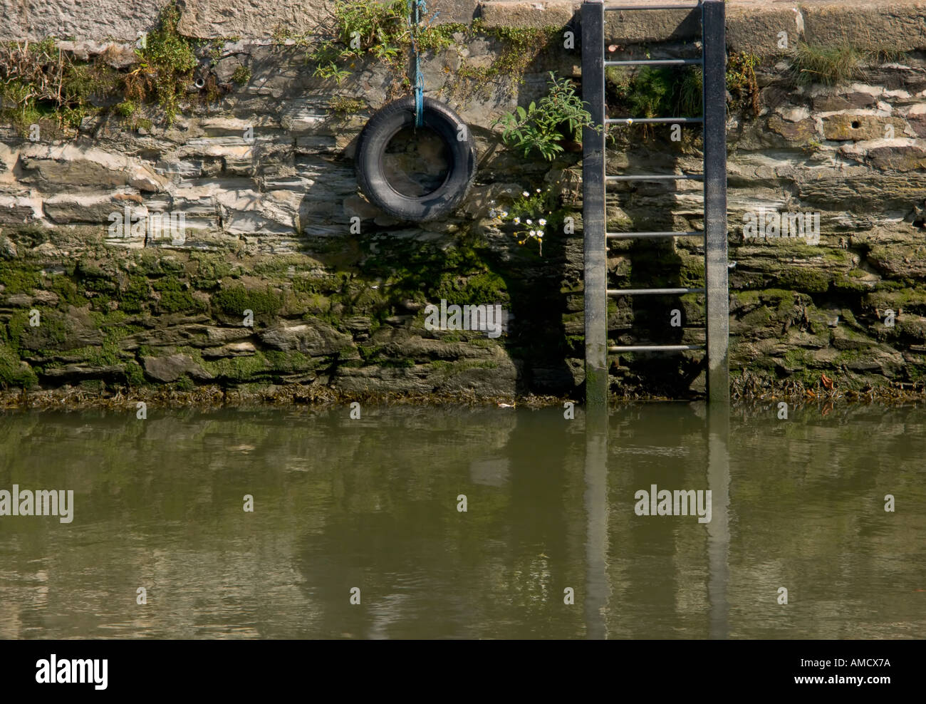 Tyre fender and ladder on riverbank Stock Photo Alamy