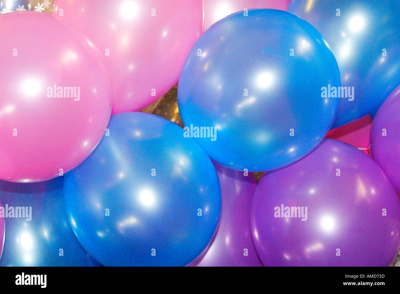 Pink Blue and Purple Balloons Stock Photo Alamy