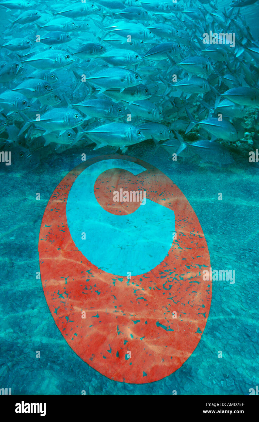 Congestion charge sign on coral reef with school of Bigeye trevally Stock Photo