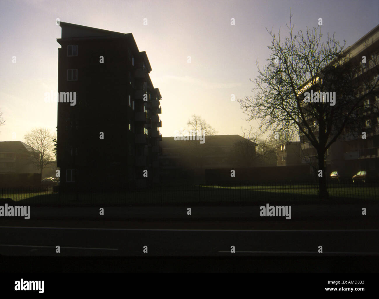 Blocks of flats in Aldgate East London, back lit in the yellow morning mist Stock Photo