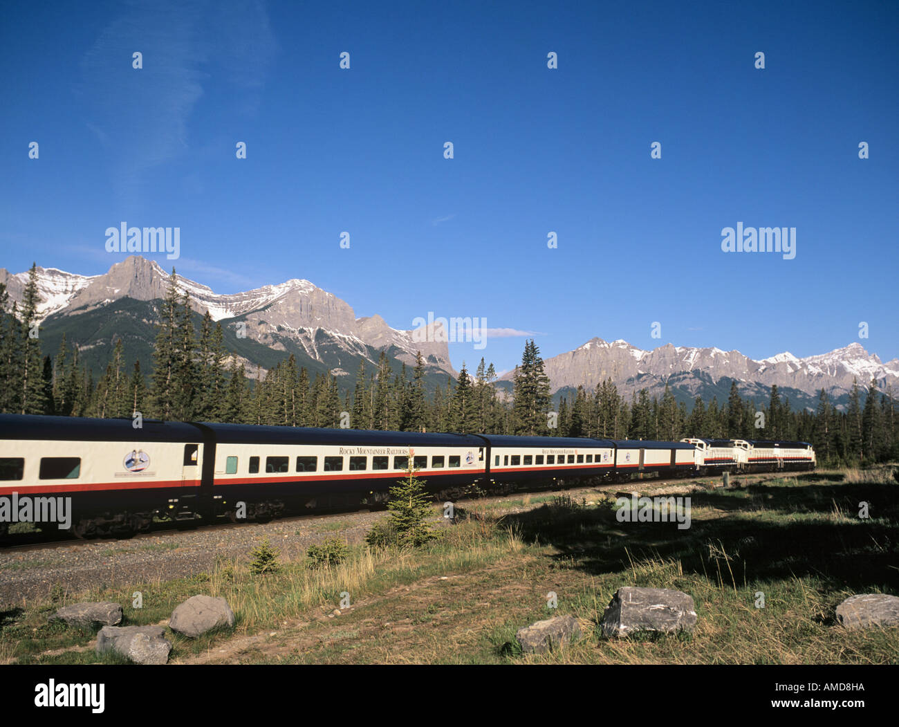 ROCKY MOUNTAINEER RAILTOURS TRAIN at 'Old Camp' in Rocky mountains Canmore Alberta Canada Stock Photo