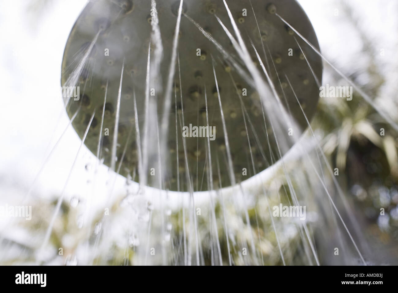 Detailed view of shower head outdoors Stock Photo Alamy