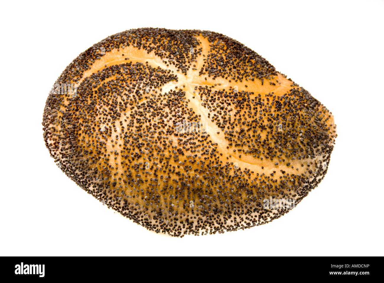 A freshly baked kaiser roll with poppy seed garnish shows its beautiful pattern and scrumptious look Stock Photo