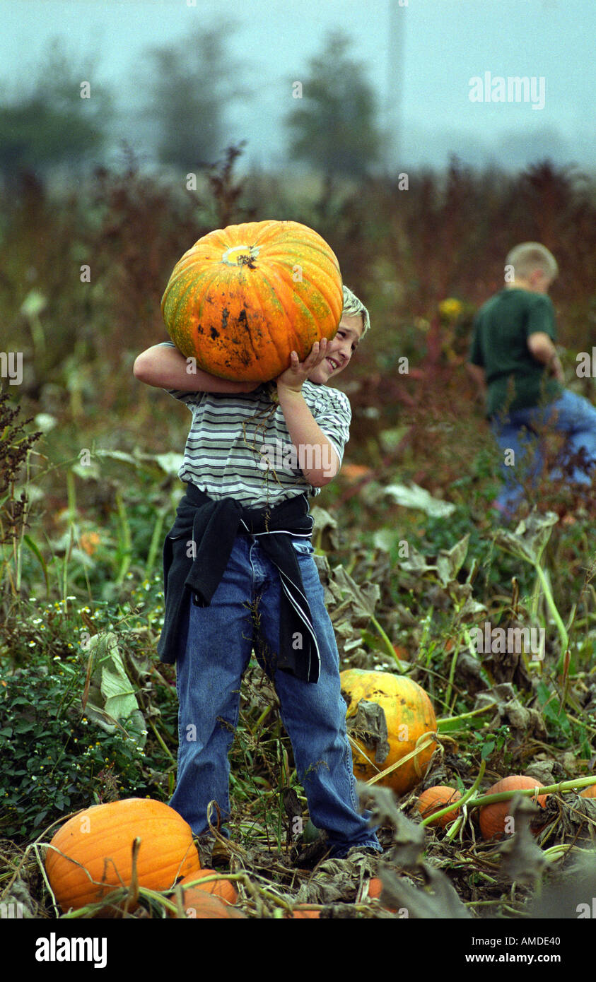 Boy carries pumpkin in pumpkin patch Stock Photo