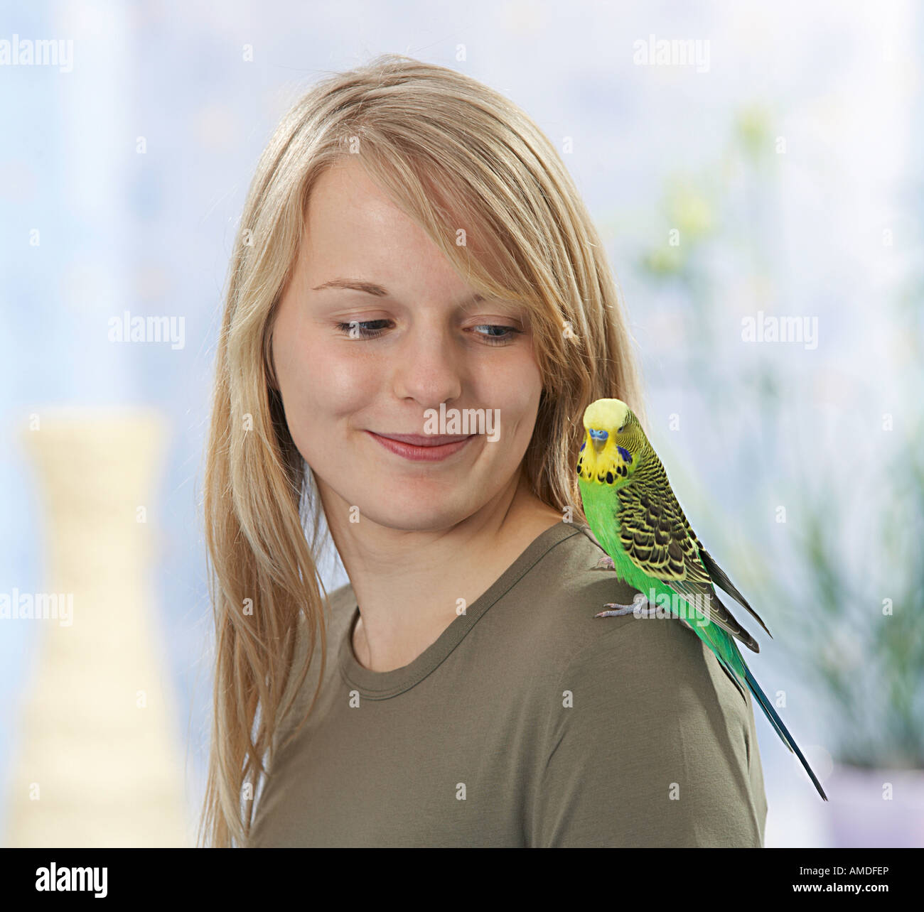 Budgerigar (Melopsittacus undulatus) on the shoulder of a girl Stock Photo