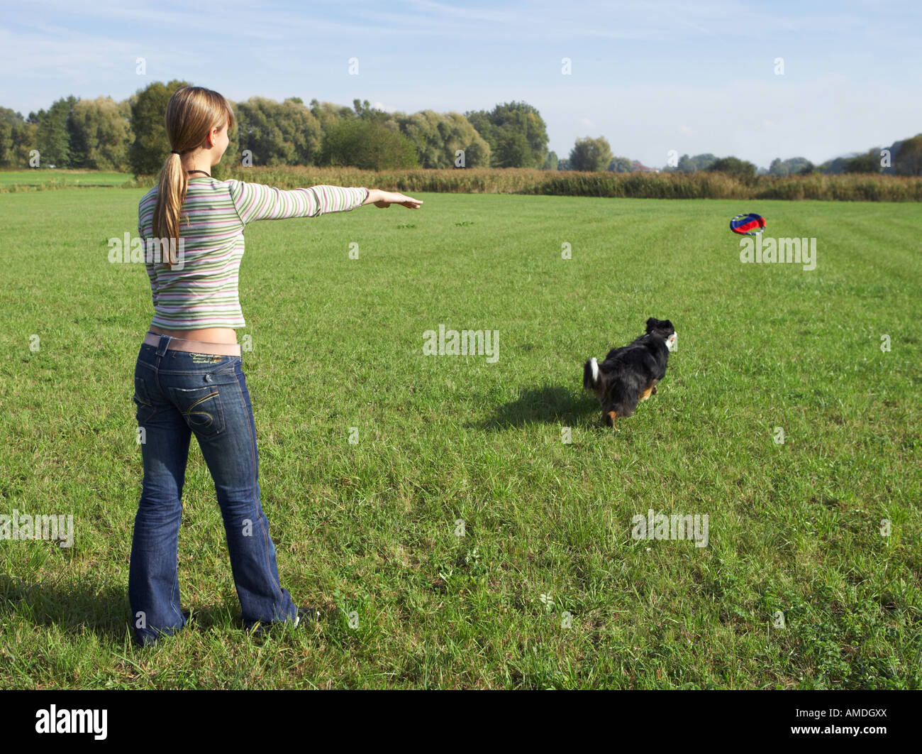 woman and Australian Shepherd dog - playing Stock Photo