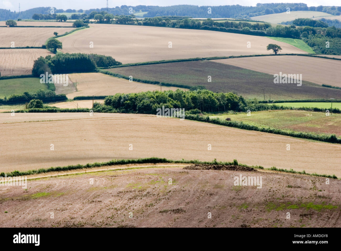 The Quantock Hills in Somerset Stock Photo Alamy