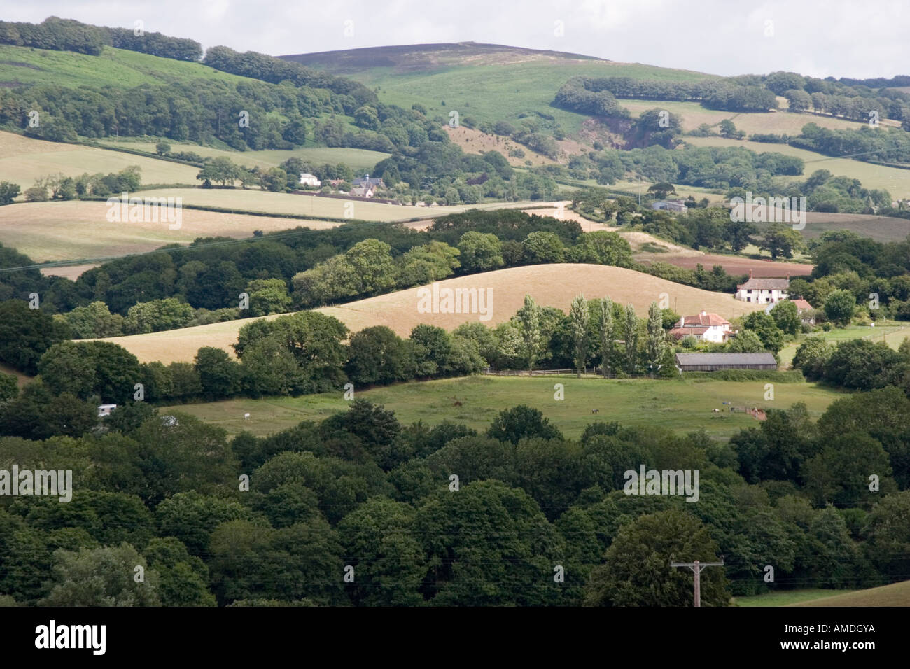The Quantock Hills in Somerset Stock Photo Alamy