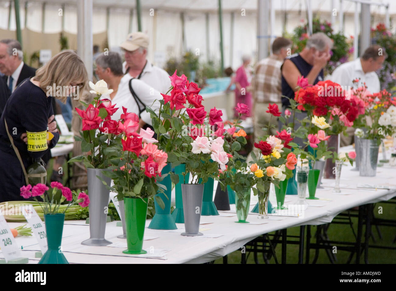Prize winning flowers on display at the Taunton flower show Stock Photo