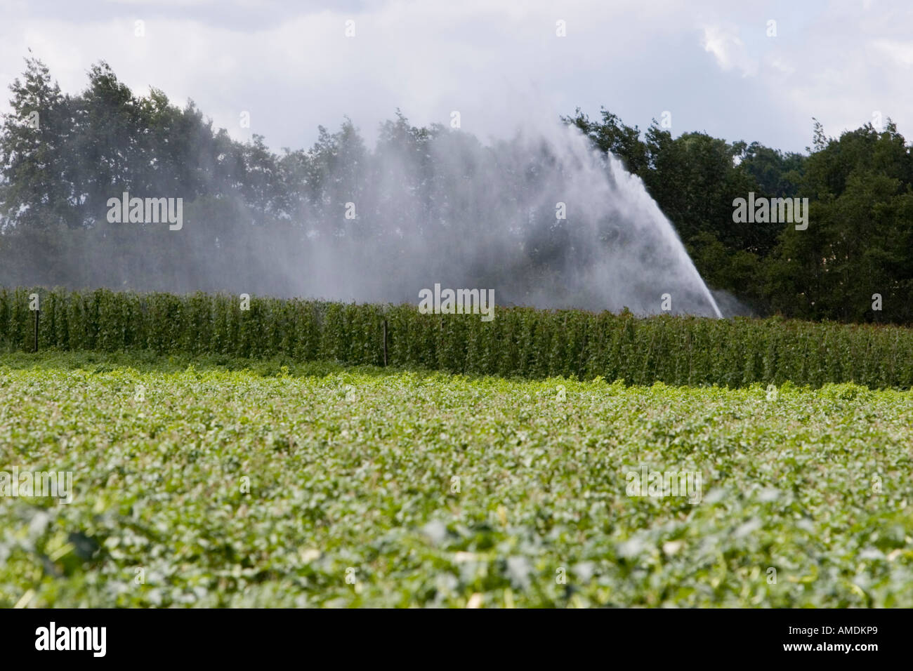 Automatic irrigation system hi-res stock photography and images - Alamy