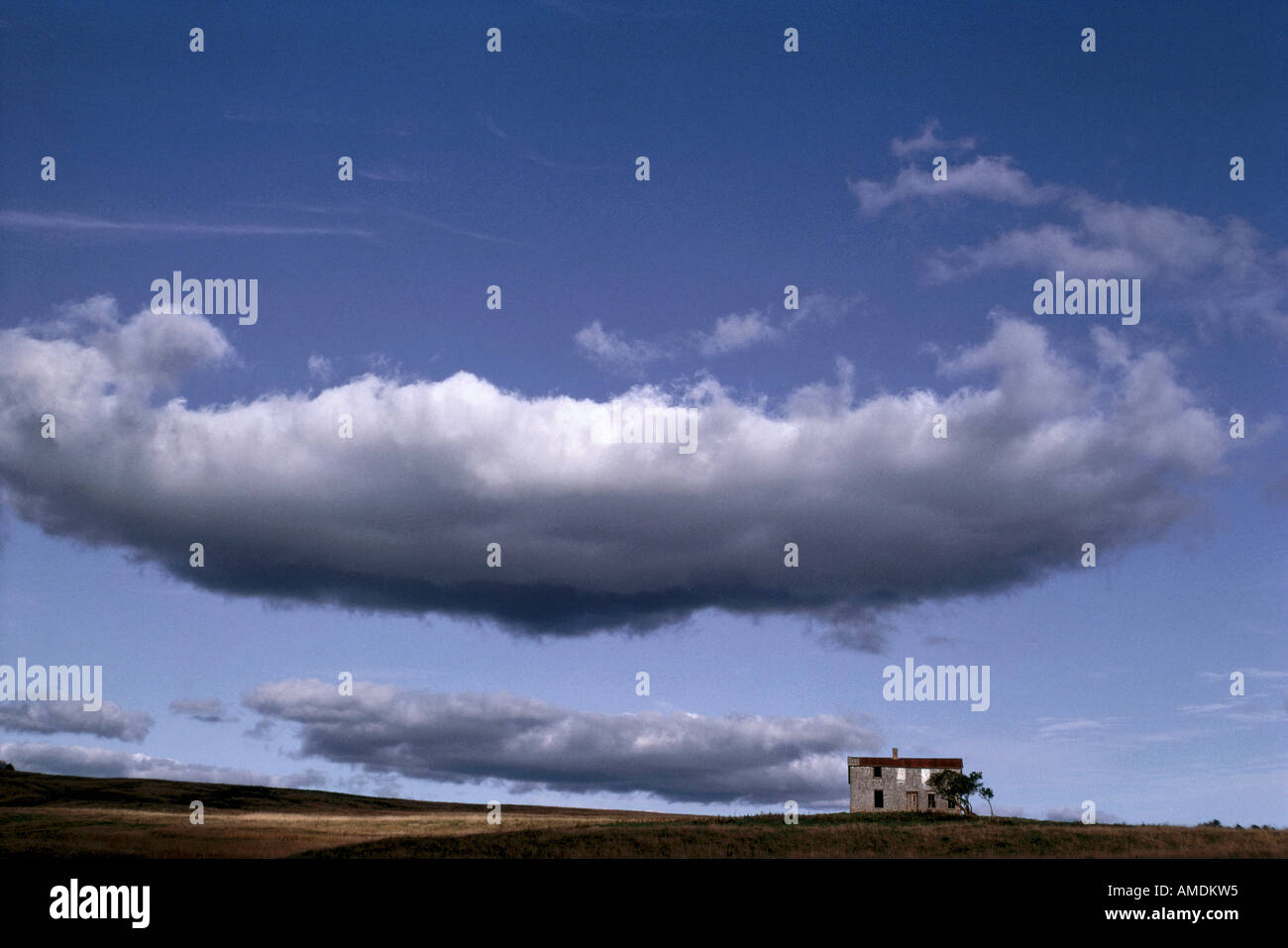 Roachville hires stock photography and images Alamy