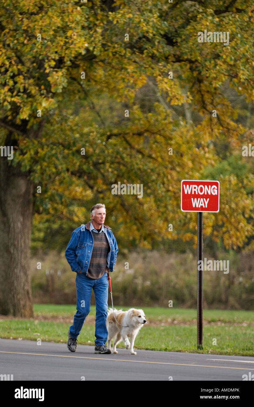 Man Walking His Dog past Wrong Way Sign Louisville Kentucky Stock Photo