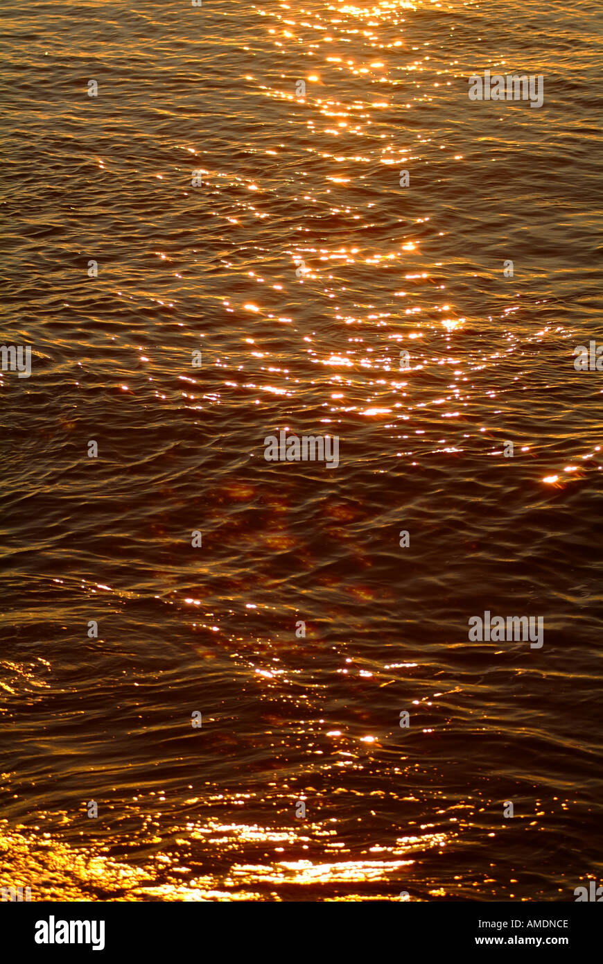 Sunset golden light on ripples of sea water Stock Photo - Alamy