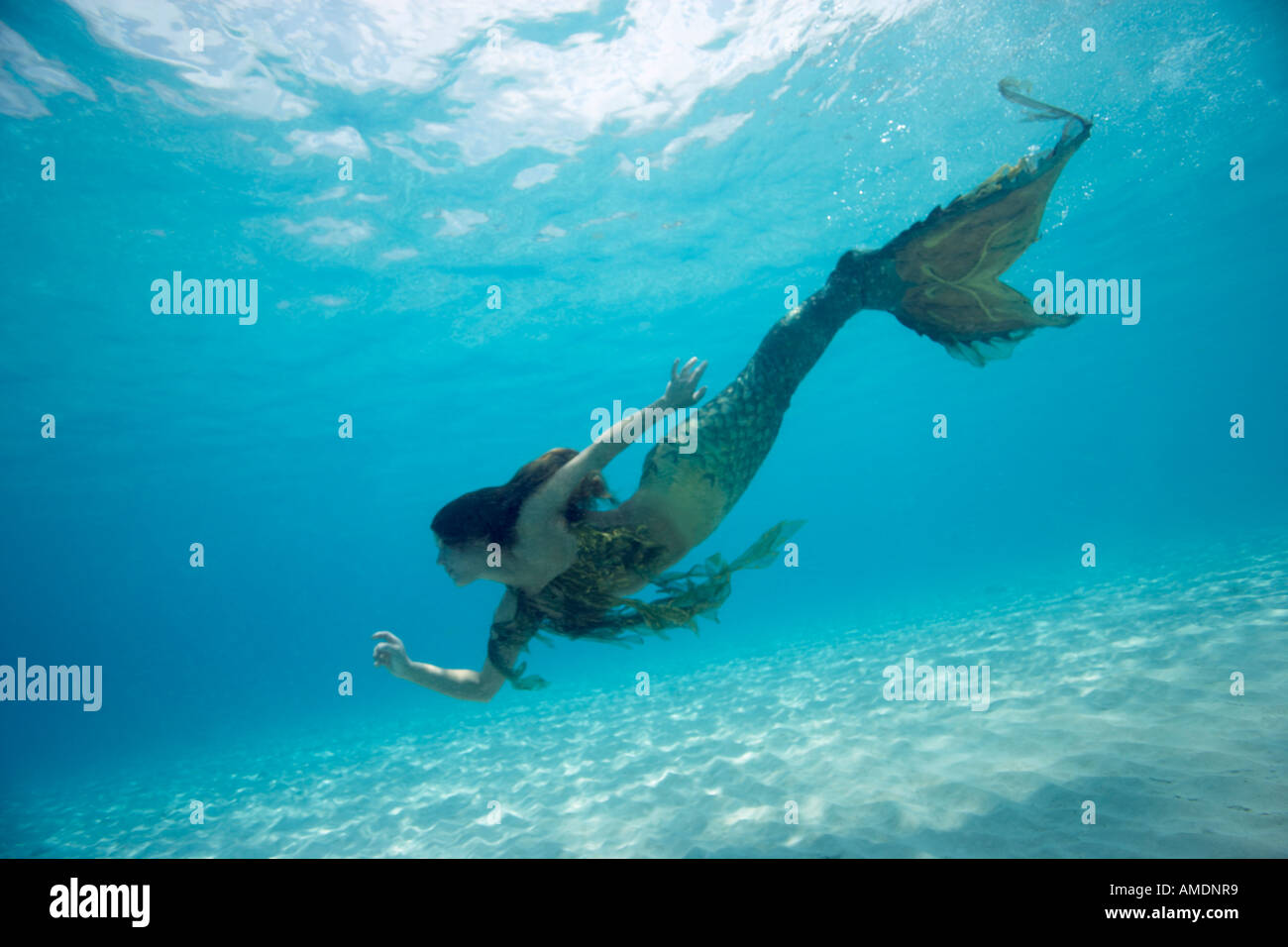 Mermaid underwater in shallow water Playa Palencar west side Cozumel Mexico Stock Photo