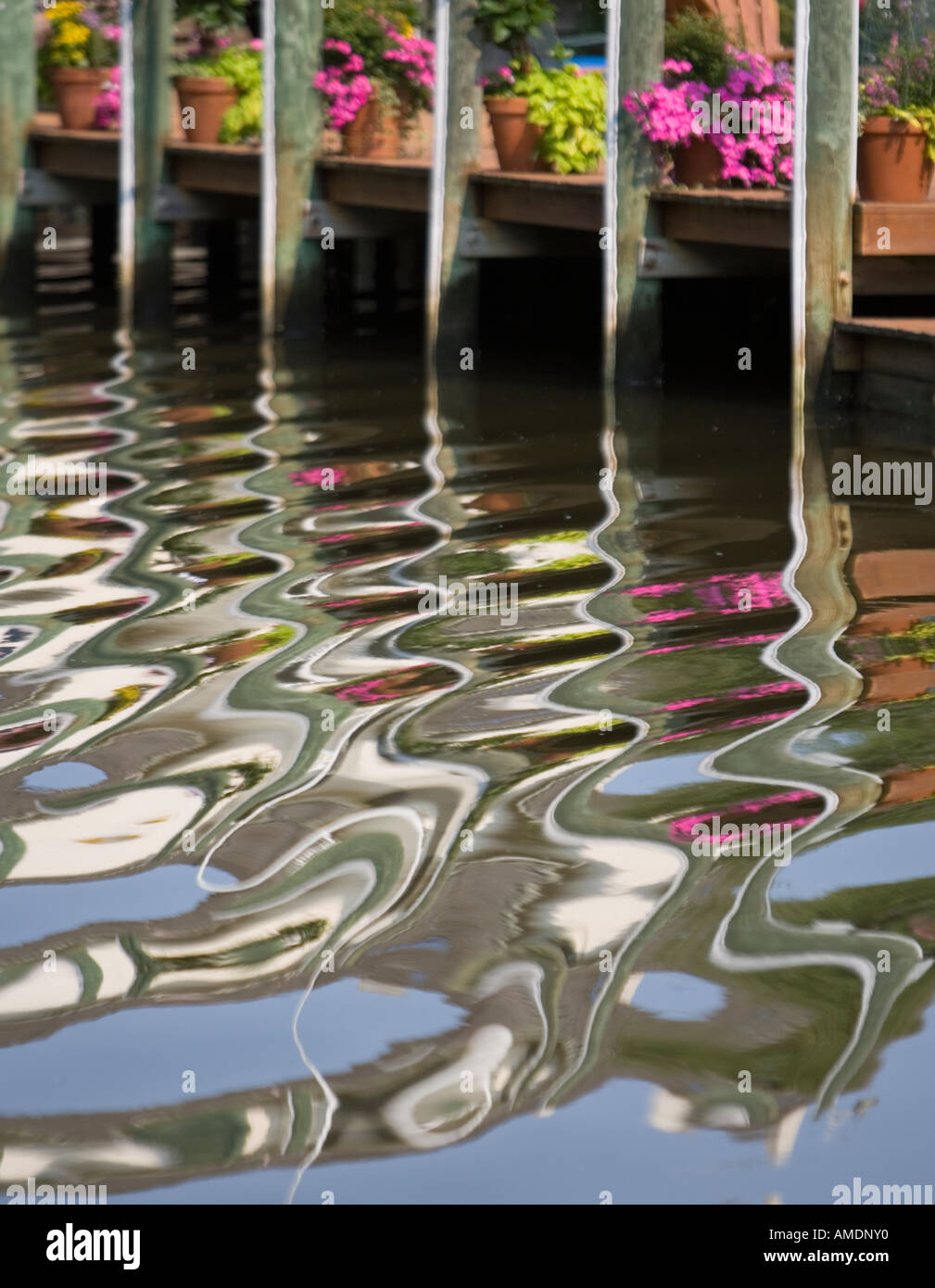 Boat wake ripples near dock and flowers Rainey Gut waterway Virginia