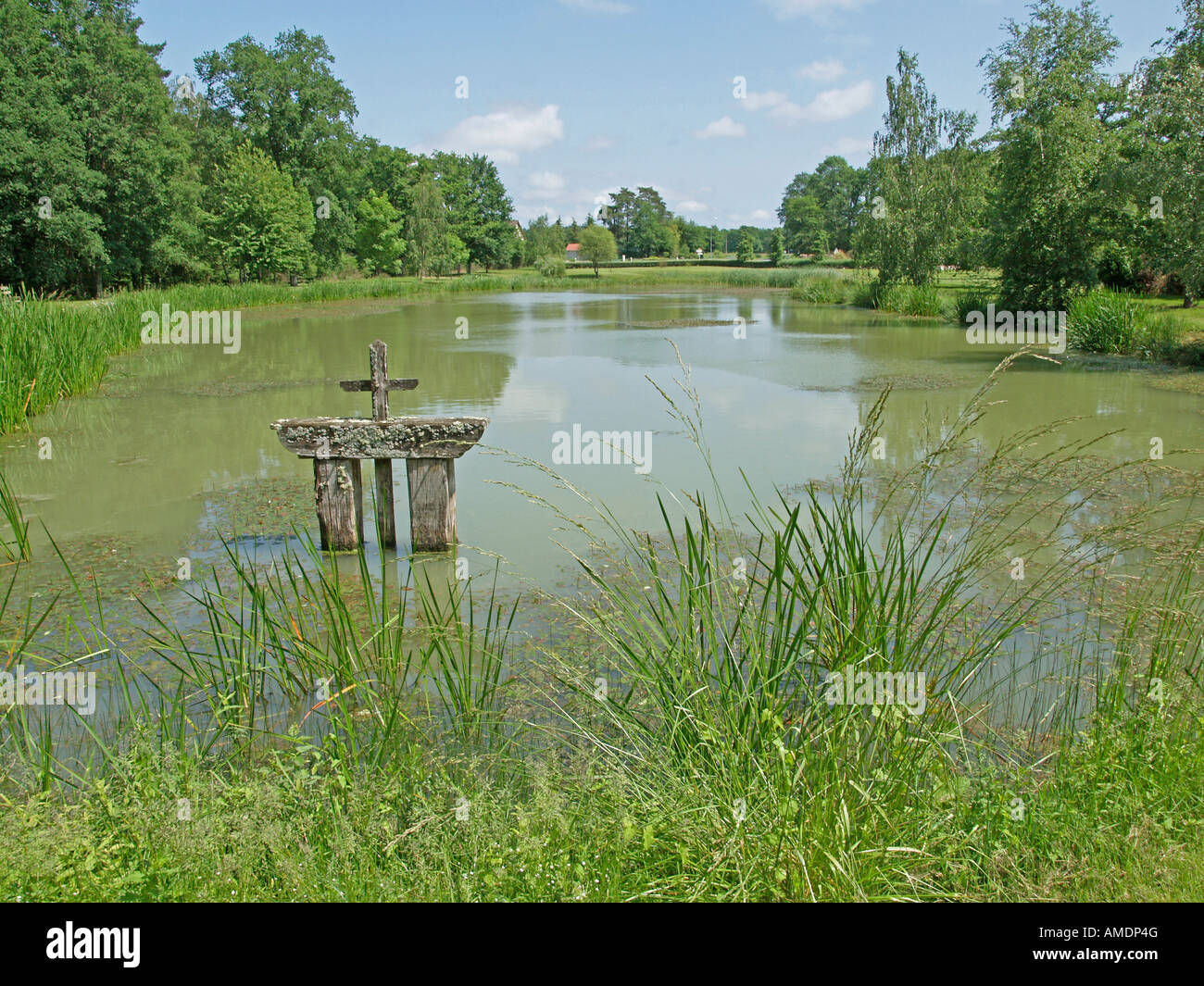 artificial waterboby fish pond with muddy water and an old wooden ...