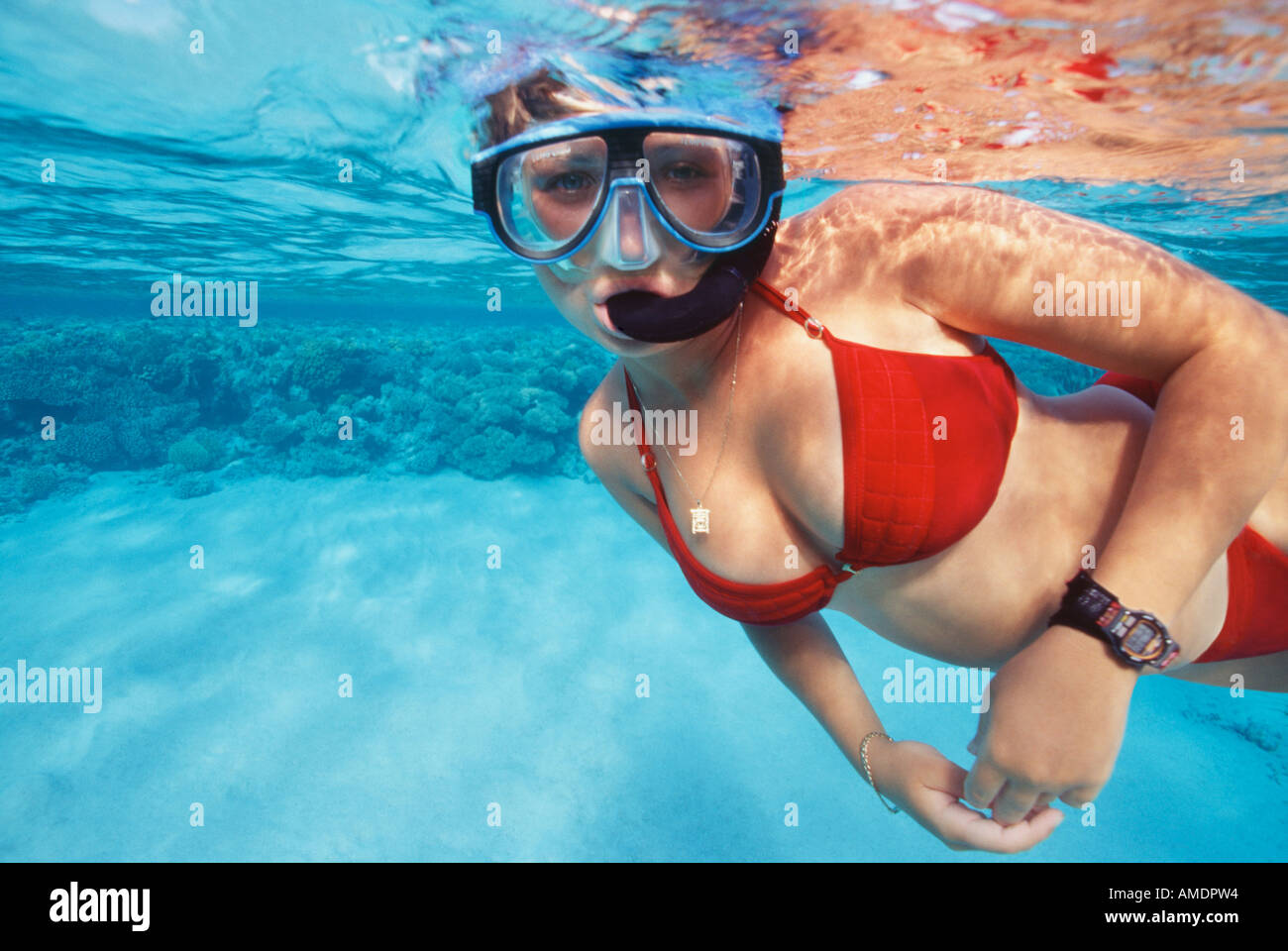 Egypt Red Sea Abu Kefan Reef woman in red bikini snorkeling underwater  Stock Photo - Alamy