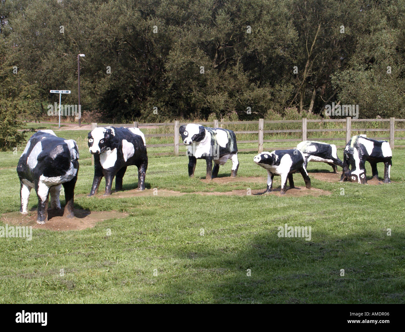 Group of black and white Fresian cows in a concrete sculpture in parkland at Milton Keynes a 1967 new town development in Buckinghamshire England UK Stock Photo