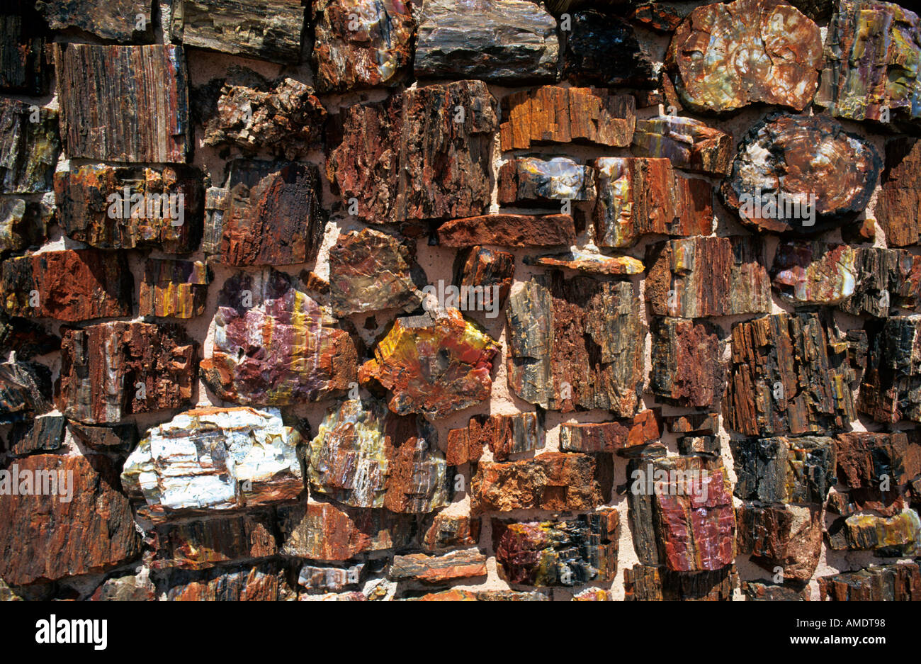 Detail of wall in building constructed from fossilised wood Petrified ...