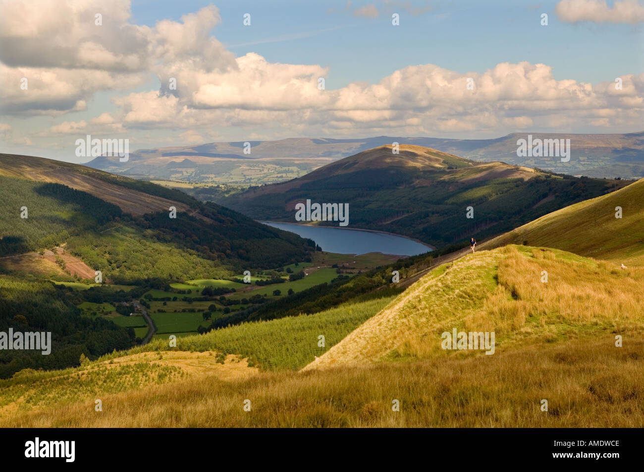 Female hiker on Pant y Creigiau looking over Glyn Collwn and Talybont reservoir Brecon beacons Wales UK Stock Photo