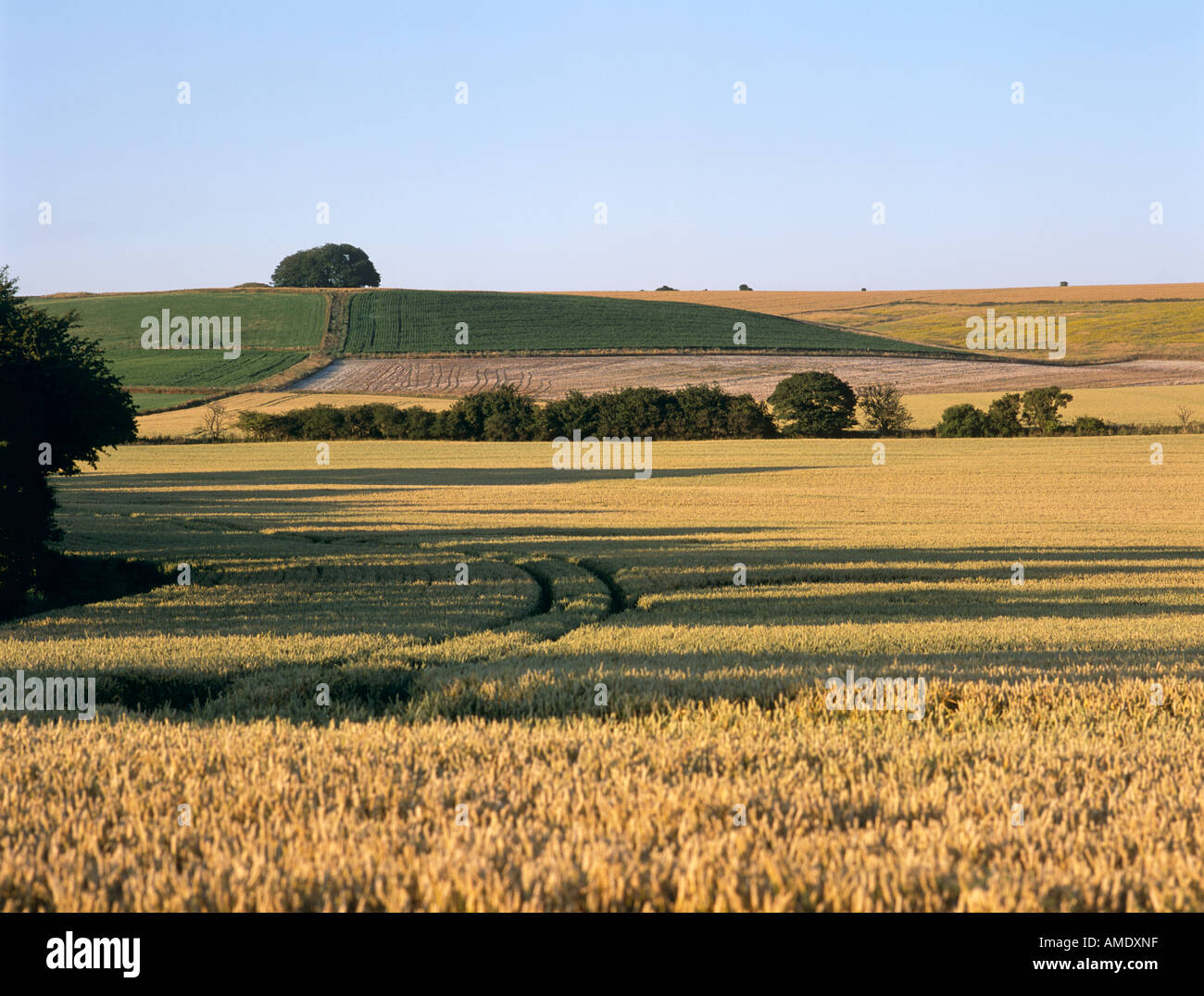 Farming landscape britain hi-res stock photography and images - Alamy