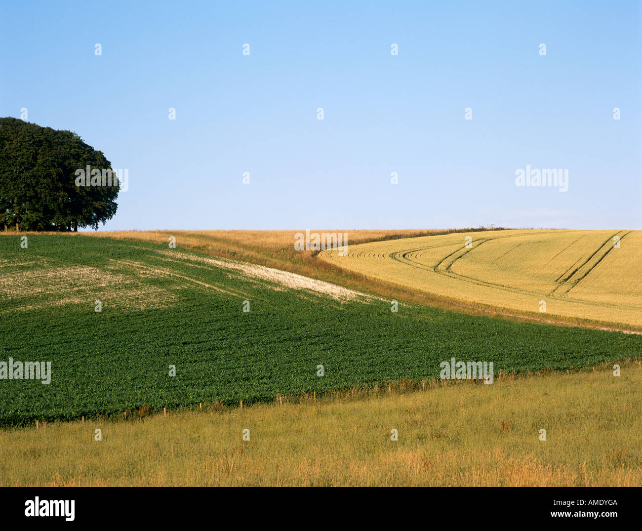 Rural Landscape Wiltshire U.K. Europe Stock Photo - Alamy