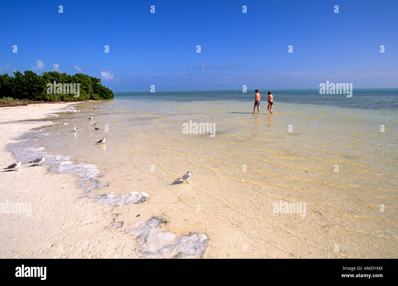 USA FLORIDA FLORIDA KEYS Beachcombers wander along a deserted beach in the Florida Keys Stock Photo