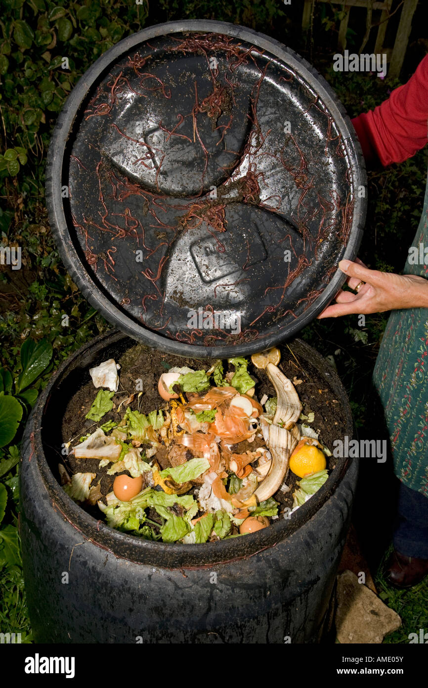 Black compost bin with active worm population Cotswolds UK Stock Photo