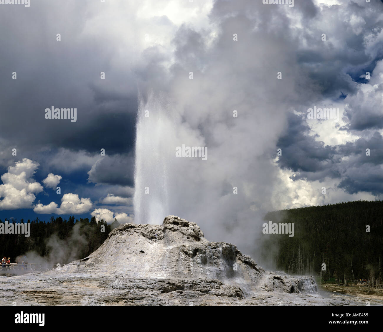 Yellowstone National Park in Wyoming showing Castle Geyser erupting in ...