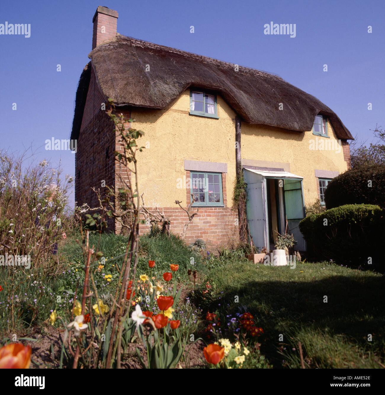 THATCHED COTTAGE COLEHILL DORSET ENGLAND UK Stock Photo - Alamy