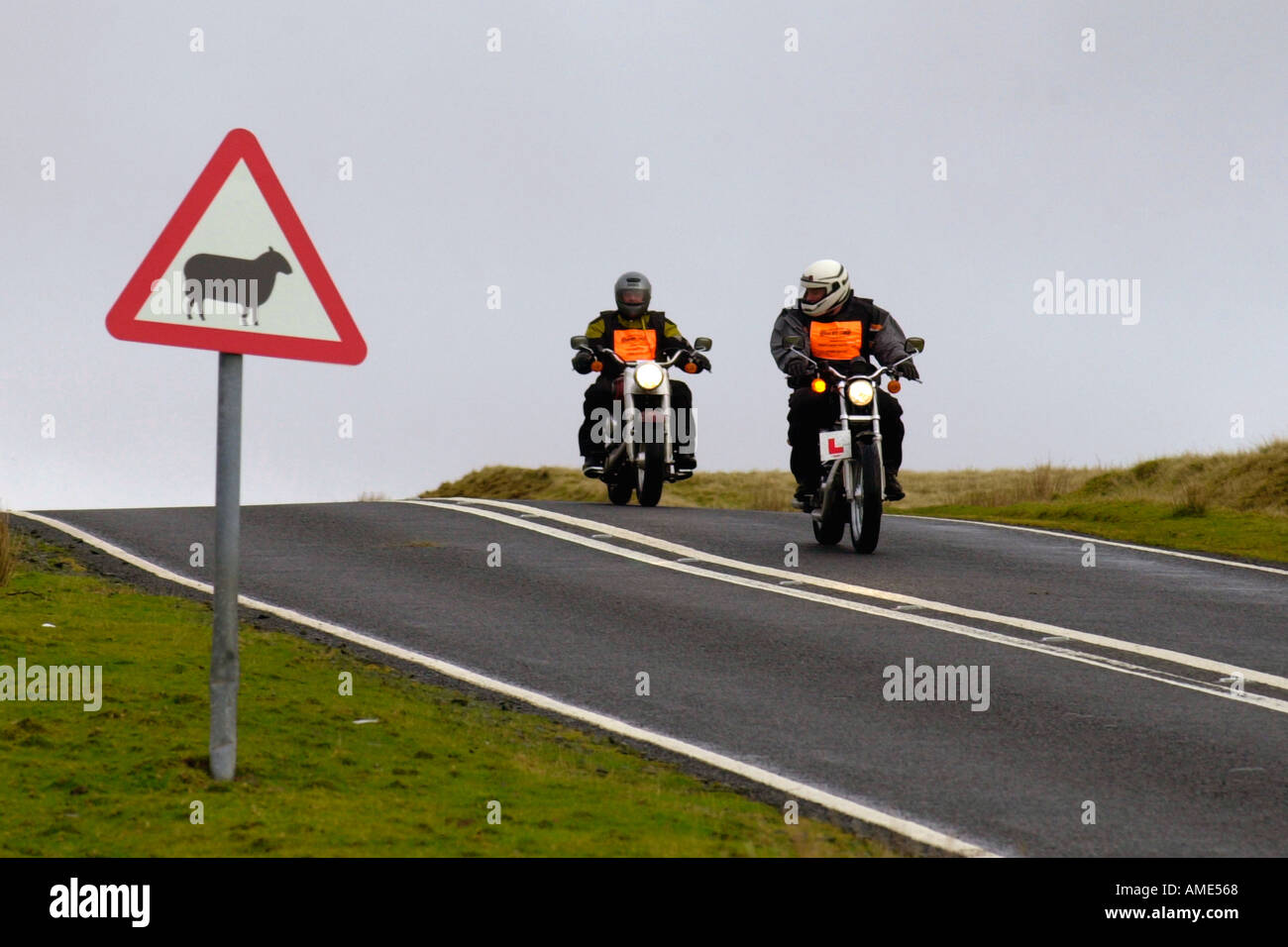 harley davidson basic rider course