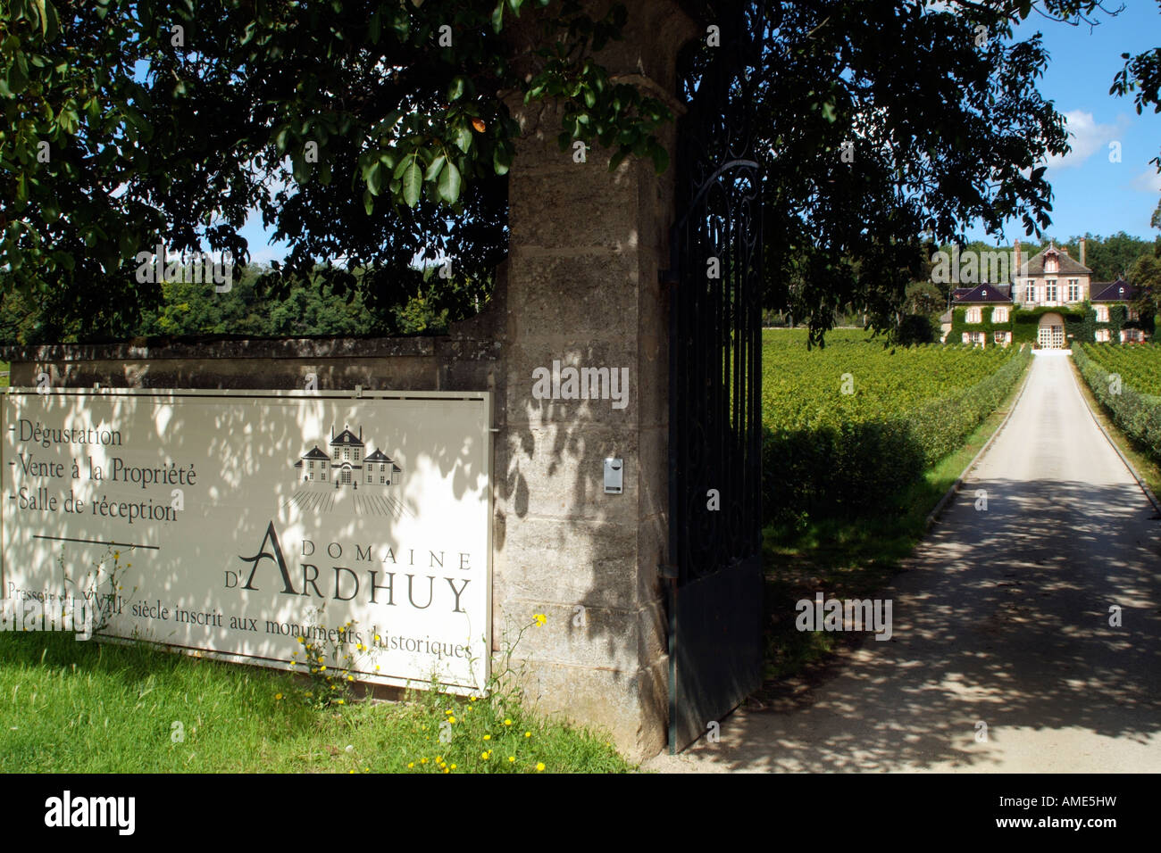 Domaine d'Ardhuy - Côte de Nuits-Villages Le Clos des Langres Monopole Blanc 2020