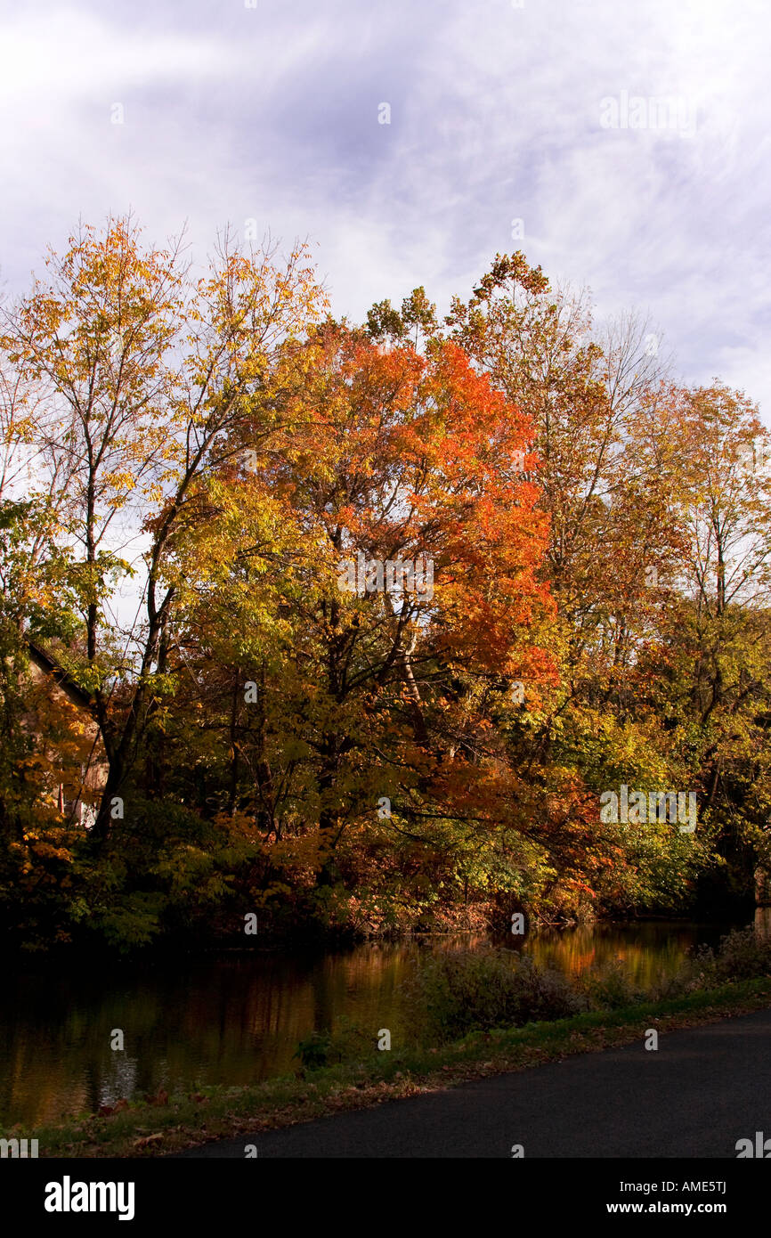 Changing maples hi-res stock photography and images - Alamy